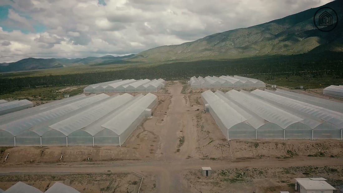 Aerial view of the greenhouse complex in the Galeana valley, Nuevo León